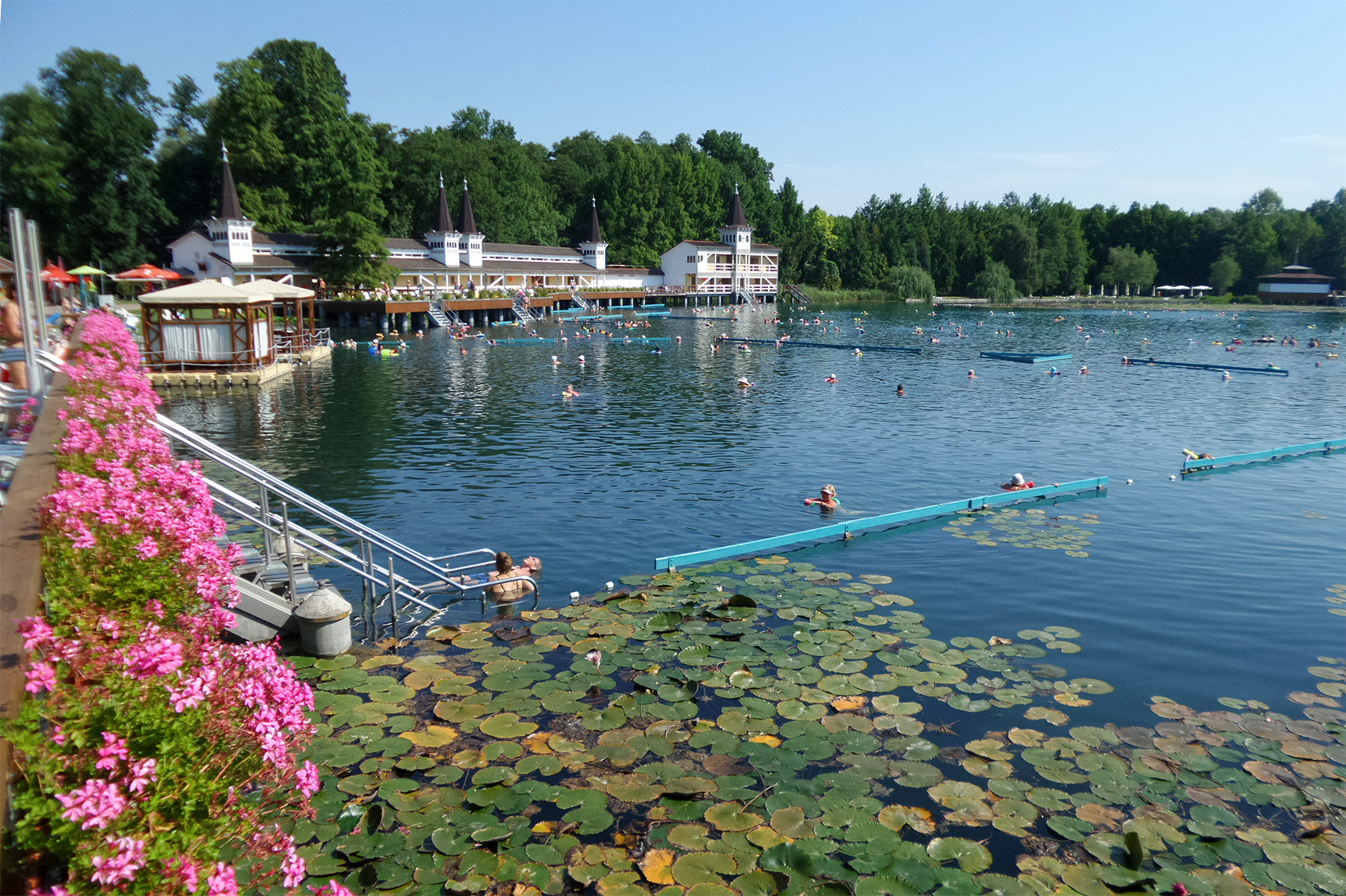 Thermal Lake at Hévíz, Hungary (Photo License CC-BY-SA-4.0)